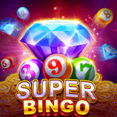 Super Bingo nustae